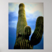 Saguaro Cactus High  Postcard ポスター (正面)