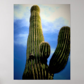 Saguaro Cactus High  Postcard ポスター