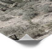 Saguaro Cactus in the Arizona Desert Low Sat 16x20 ポスター (角)