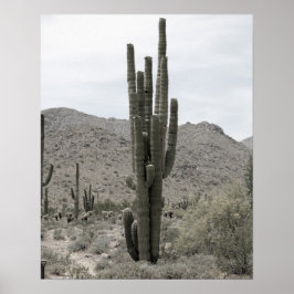 Saguaro Cactus in the Arizona Desert Low Sat 16x20 ポスター