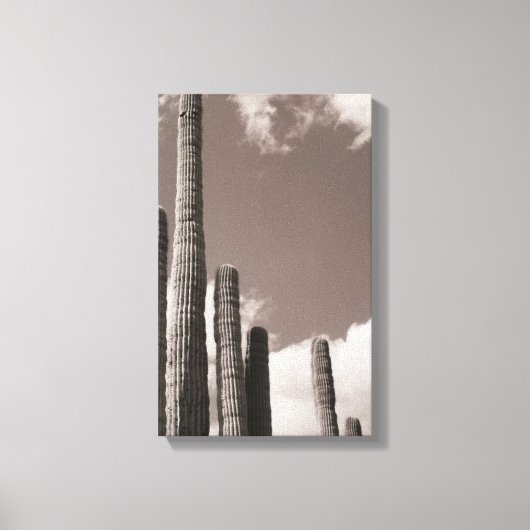 Saguaro Cactus Pipes Desert B&Wフォトアートプリント キャンバスプリント (正面)