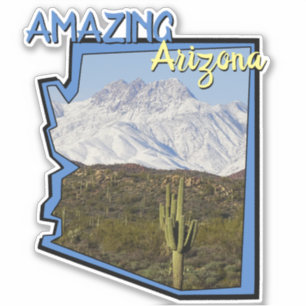 Saguaro Cactus Snowy Mountains Arizonaマップの概要 シール