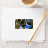 Saguaro Cactus Trio / Blue Sky & Clouds /アドレス ラベル (インサイチュ)