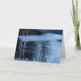 Saguaro Cactus Vision Quest, Esoteric Nature カード