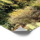 Saguaro Cactus Winter Arizona写真 ポスター (角)