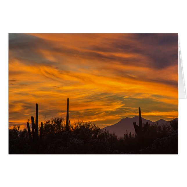 Saguaro Desert Sunset Photo Greeting Card (正面横)