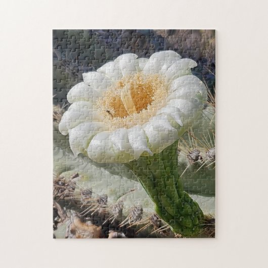 Saguaro in Bloom Puzzle, 11" x 14", 252 pieces ジグソーパズル (縦)