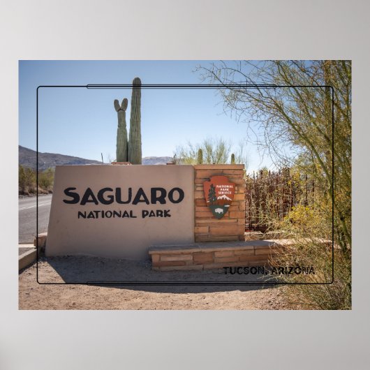 Saguaro National Park - Arizona Desert Poster ポスター (正面)