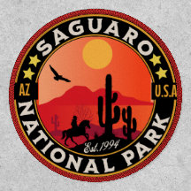 Saguaro National Park Desert Landscape