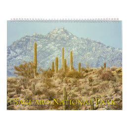 Saguaro National Park Landscape カレンダー