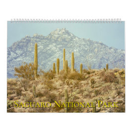 Saguaro National Park Landscape カレンダー