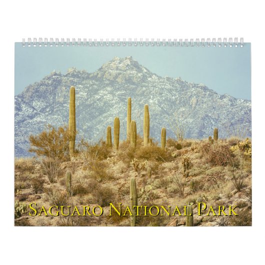 Saguaro National Park Landscape カレンダー (カバー)