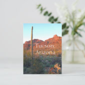 Saguaro National Park Tucson，アリゾナ ポストカード (スタンド正面)