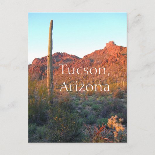 Saguaro National Park Tucson，アリゾナ ポストカード (正面)