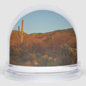 Saguaro Sunset I Arizona Desert Landscape (正面)