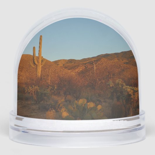 Saguaro Sunset I Arizona Desert Landscape (正面)