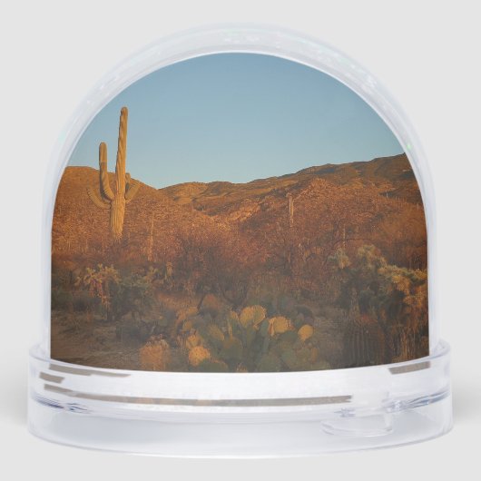 Saguaro Sunset I Arizona Desert Landscape (裏面)