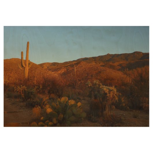 Saguaro Sunset I Arizona Desert Landscape ウッドポスター (正面)