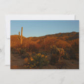 Saguaro Sunset I Arizona Desert Landscape カード (正面)