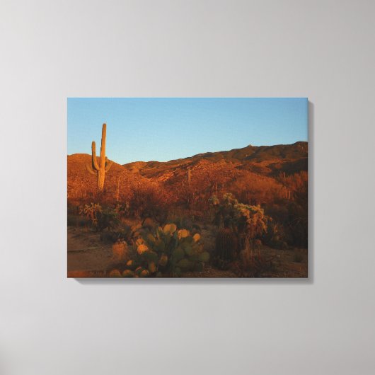 Saguaro Sunset I Arizona Desert Landscape キャンバスプリント (正面)