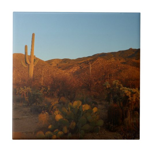Saguaro Sunset I Arizona Desert Landscape タイル (正面)
