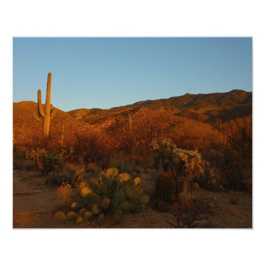 Saguaro Sunset I Arizona Desert Landscape フォトプリント (正面)