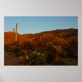 Saguaro Sunset I Arizona Desert Landscape ポスター