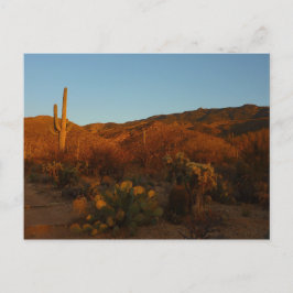Saguaro Sunset I Arizona Desert Landscape ポストカード