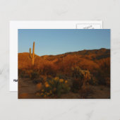 Saguaro Sunset I Arizona Desert Landscape ポストカード (正面/裏面)