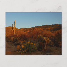 Saguaro Sunset I Arizona Desert Landscape ポストカード