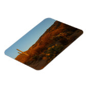 Saguaro Sunset I Arizona Desert Landscape マグネット (左側)