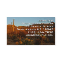 Saguaro Sunset I Arizona Desert Landscape