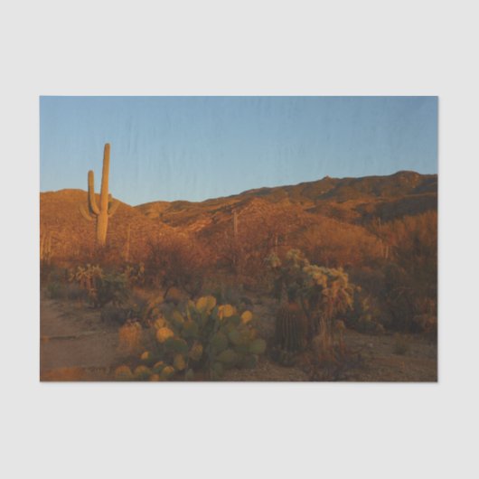 Saguaro Sunset I Arizona Desert Landscape 薄葉紙 (正面)