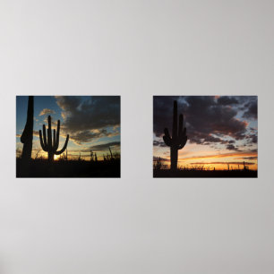 Saguaro Sunset IIアリゾナ砂漠の風景