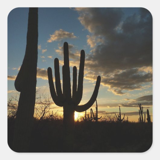 Saguaro Sunset IIアリゾナ砂漠の風景 スクエアシール (正面)
