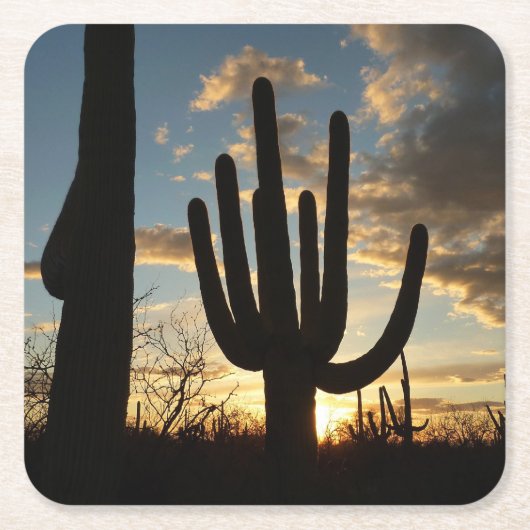 Saguaro Sunset IIアリゾナ砂漠の風景 スクエアペーパーコースター (正面)