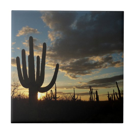 Saguaro Sunset IIアリゾナ砂漠の風景 タイル (正面)