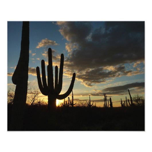 Saguaro Sunset IIアリゾナ砂漠の風景 フォトプリント (正面)