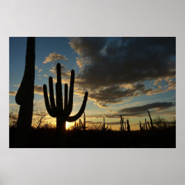 Saguaro Sunset IIアリゾナ砂漠の風景 ポスター