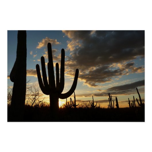 Saguaro Sunset IIアリゾナ砂漠の風景 ポスター (正面)