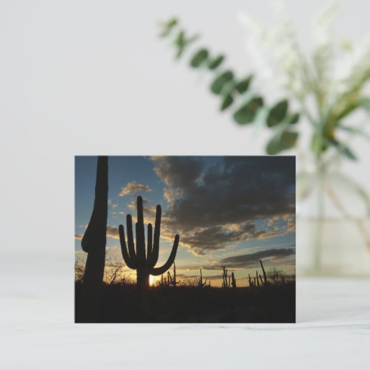 Saguaro Sunset IIアリゾナ砂漠の風景 ポストカード (スタンド正面)
