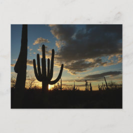 Saguaro Sunset IIアリゾナ砂漠の風景 ポストカード