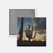 Saguaro Sunset IIアリゾナ砂漠の風景 マグネット (正面/裏面)