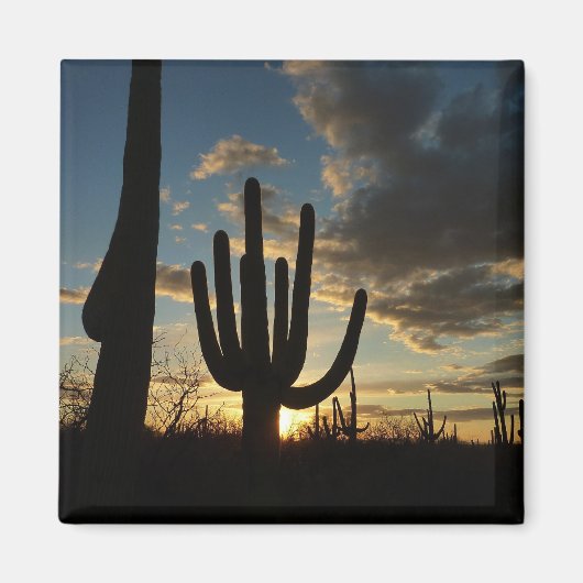 Saguaro Sunset IIアリゾナ砂漠の風景 マグネット (正面)