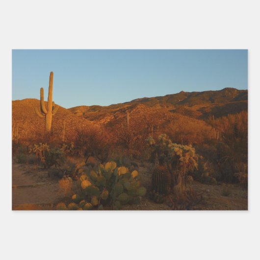 Saguaro Sunset IIアリゾナ砂漠の風景 ラッピングペーパーシート (正面3)