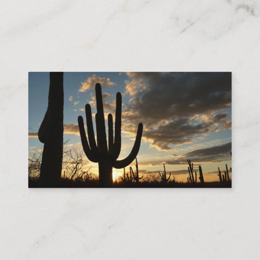 Saguaro Sunset IIアリゾナ砂漠の風景 名刺 (裏面)