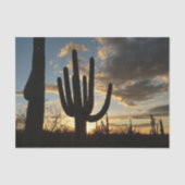 Saguaro Sunset IIアリゾナ砂漠の風景 薄葉紙 (正面)