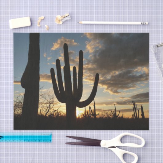 Saguaro Sunset IIアリゾナ砂漠の風景 薄葉紙 (クラフト)