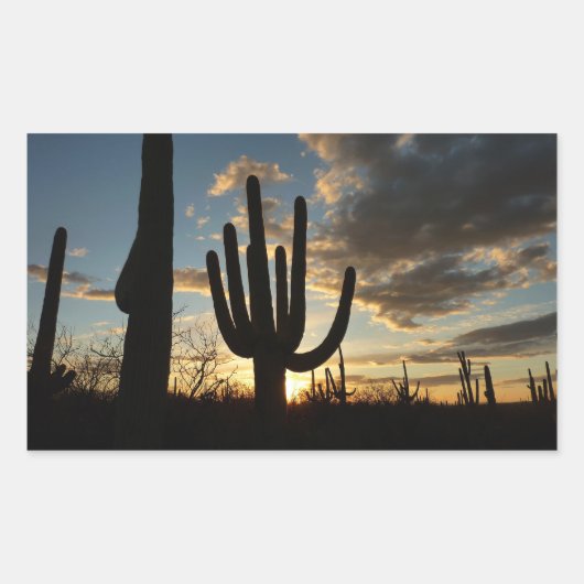 Saguaro Sunset IIアリゾナ砂漠の風景 長方形シール (正面)