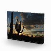 Saguaro Sunset II Arizona Desert Landscape フォトブロック (右)
